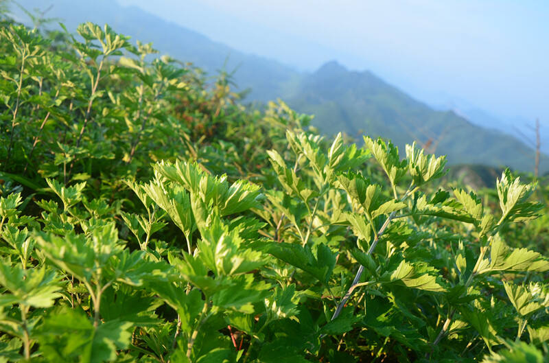 Patrimoine culturel et bien-être moderne