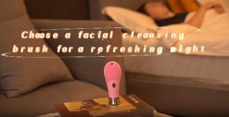 facial cleaning device