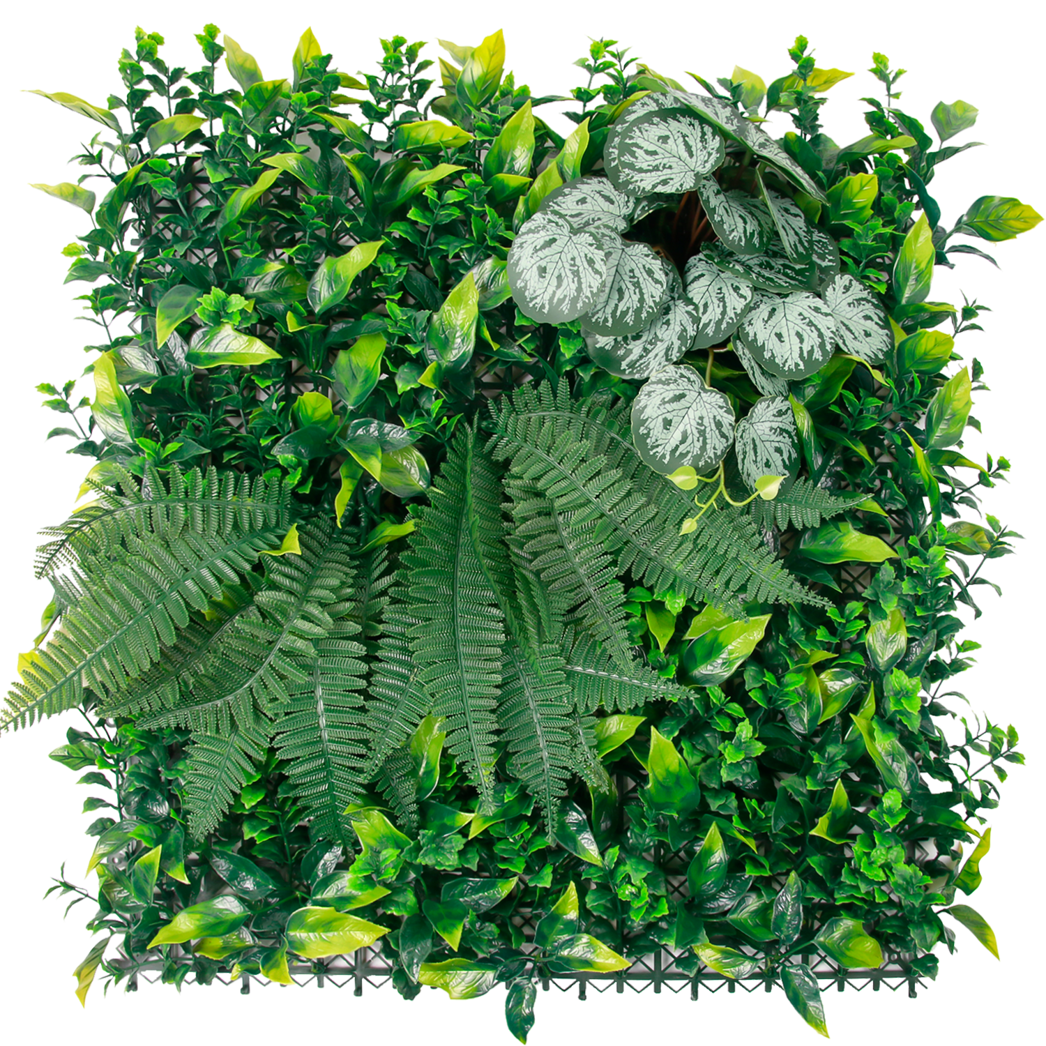 Artificial Turf: Say Goodbye to Watering & Trimming