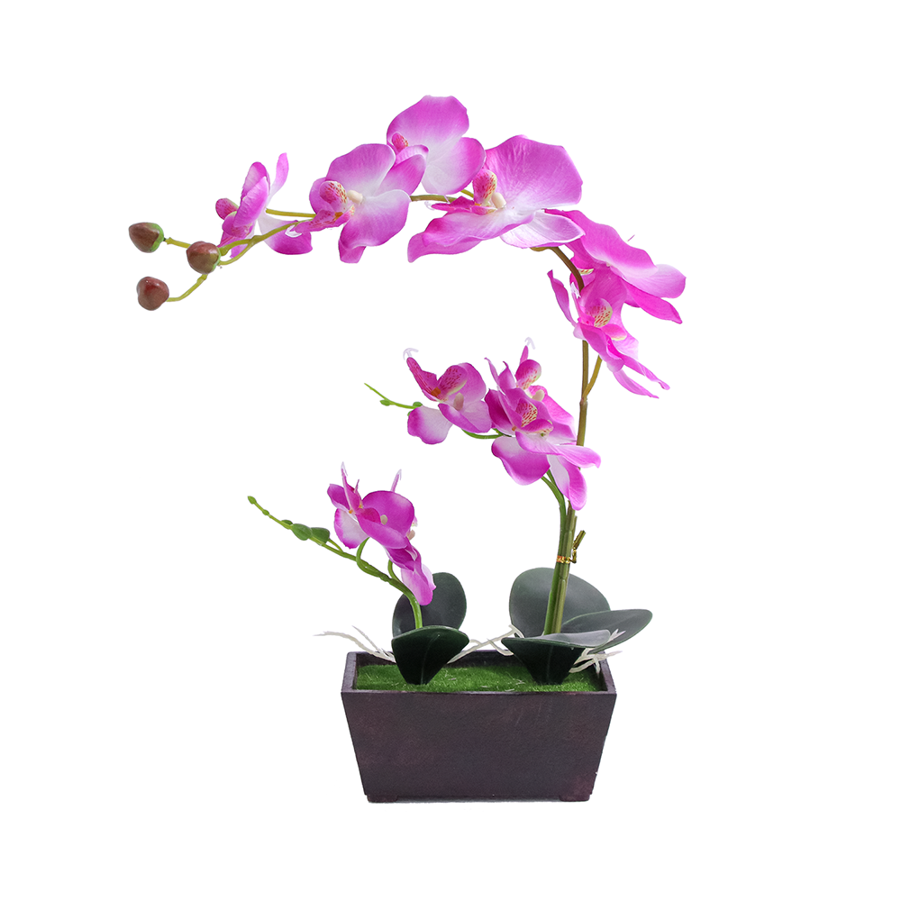 Home/Office Must-Have: Low-Maintenance Artificial Bonsai