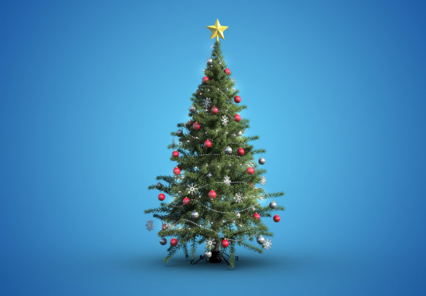 2026 Guide to Wholesale Christmas Tree Buying