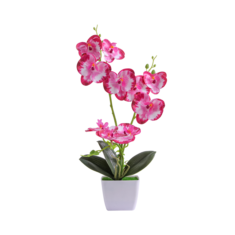 Fake Bonsai: Revitalize Desktop with Nature