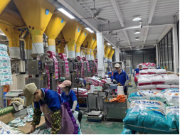 Sustainable Development of Washing Products