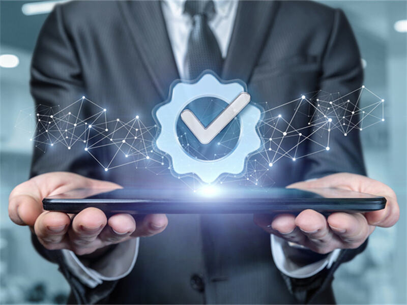 Technical Co-Support & Rapid Response