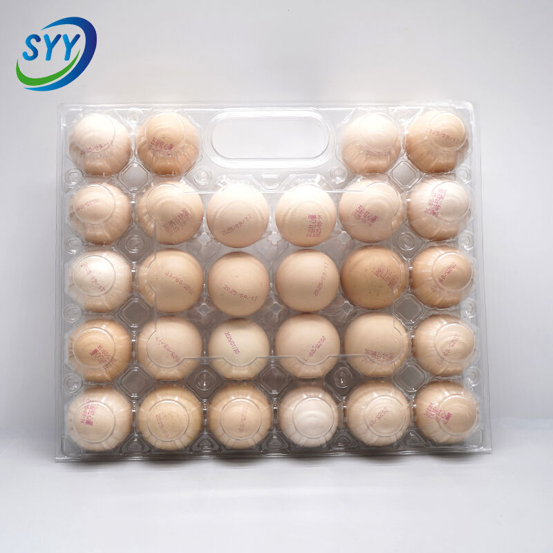 28-Loch-Blister-PET-Handtablett für Eier