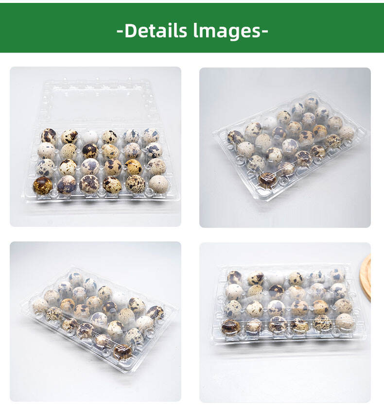Hygienic Food-Grade Materials for Superior Safety Standards