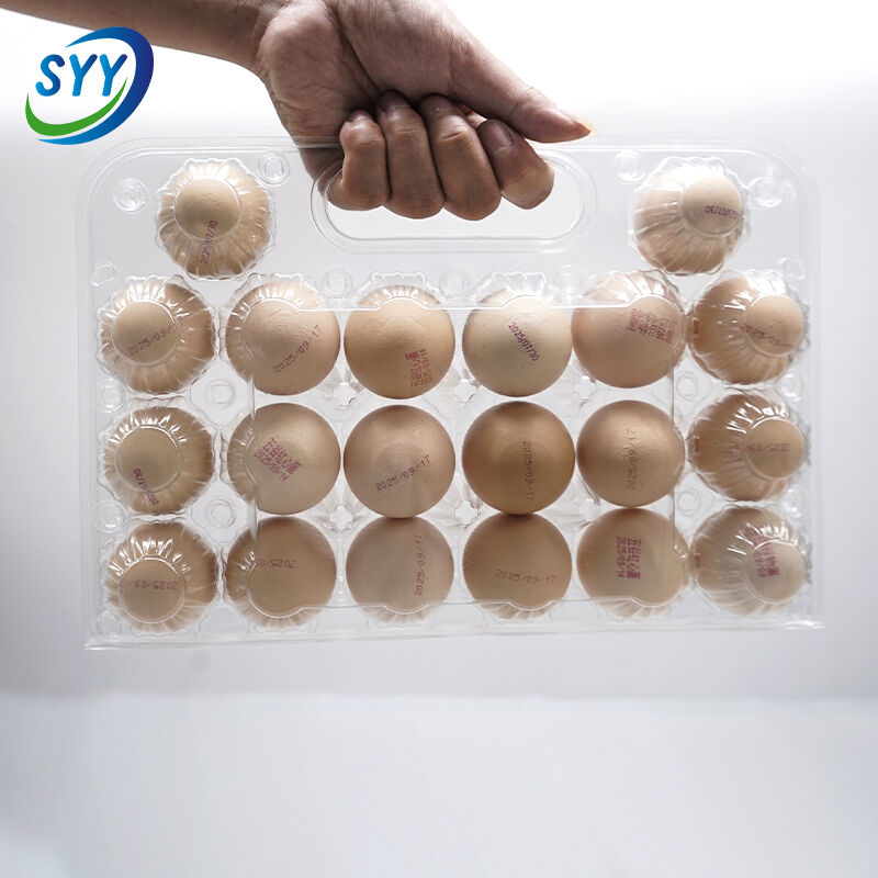 20-Loch-Hand-Eierbehälter für Bauernhof-Supermarkt