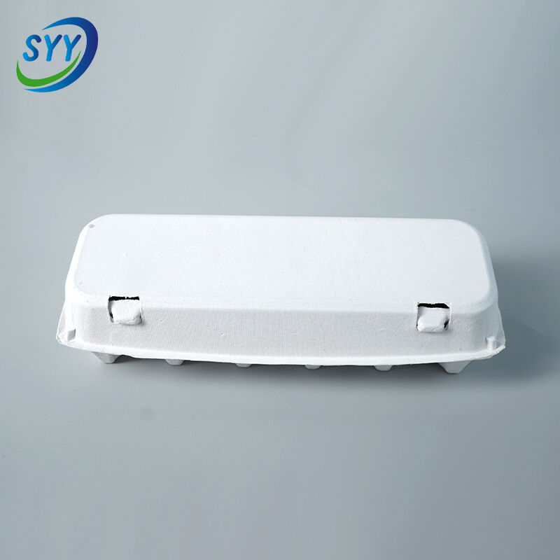 12-Loch umweltfreundlicher Eierkarton aus geformtem Zellstoff