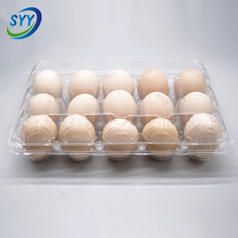 Mittlerer 15-Loch-PET-Klapp-Eierbehälter für Landwirtschaft und Supermarkt