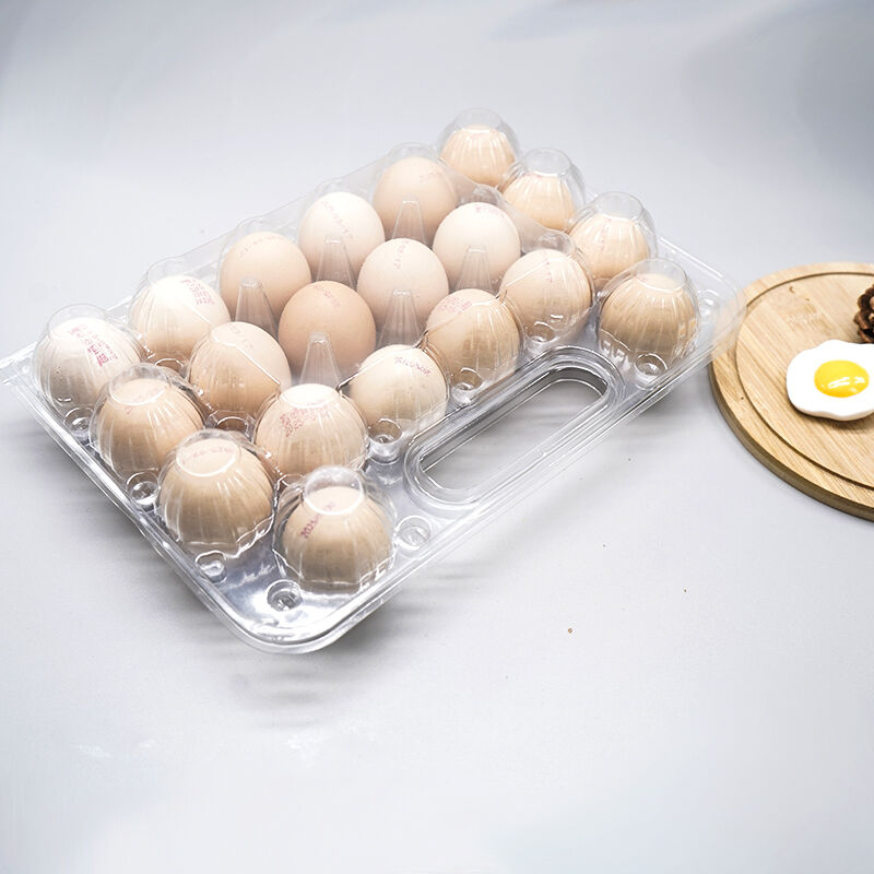 Enhanced Food Safety and Quality Assurance