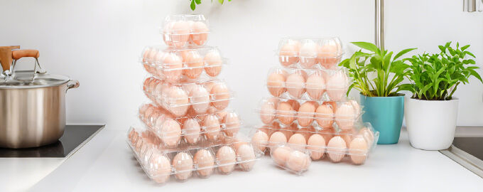 Enhanced Food Safety and Hygiene Standards
