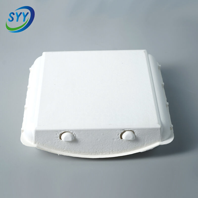 20-Loch umweltfreundlicher Eierbehälter aus geformtem Zellstoff