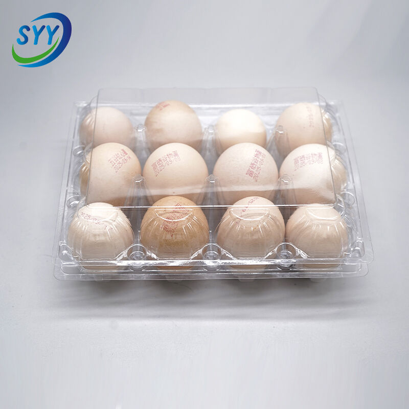 12-Loch Pet Klapp-Eierschale für Bauernhof und Supermarkt