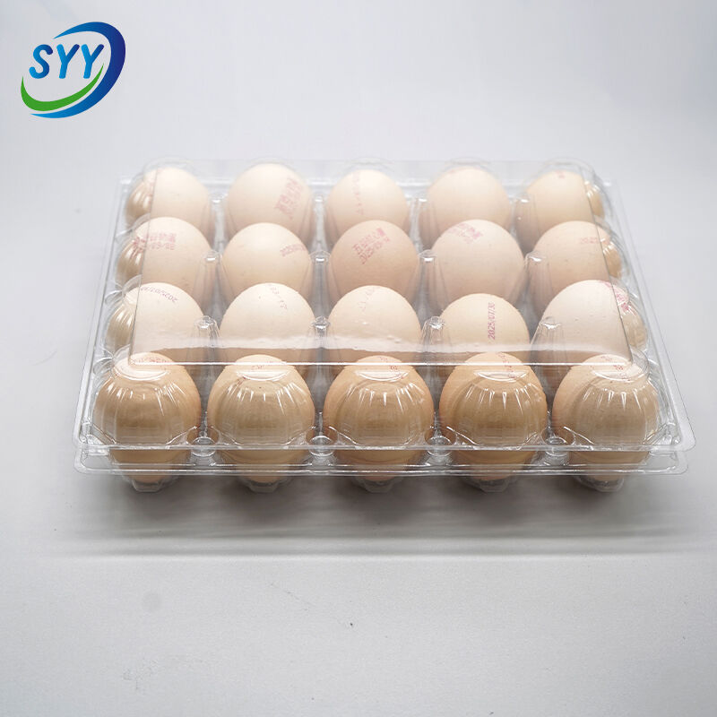 20-Loch Pet Klapp-Eierschale für Bauernhof und Supermarkt