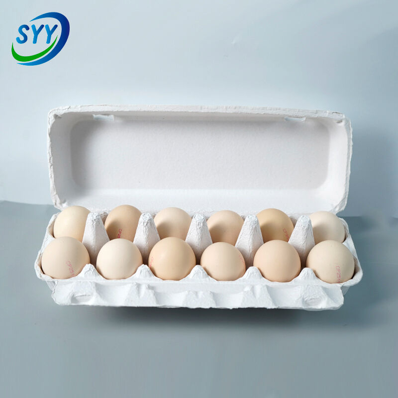 Paper Egg Cartons
