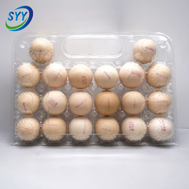 20-Loch-Blister-PET-Handtablett für Eier