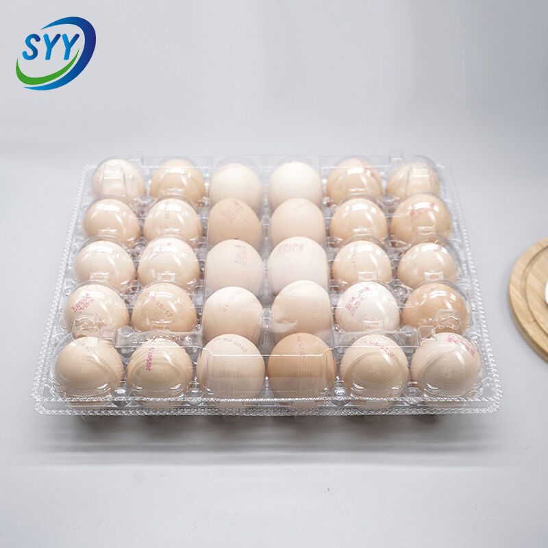 30-Loch Blister Pet transparente geteilte Eierschale für Bauernhof und Supermarkt