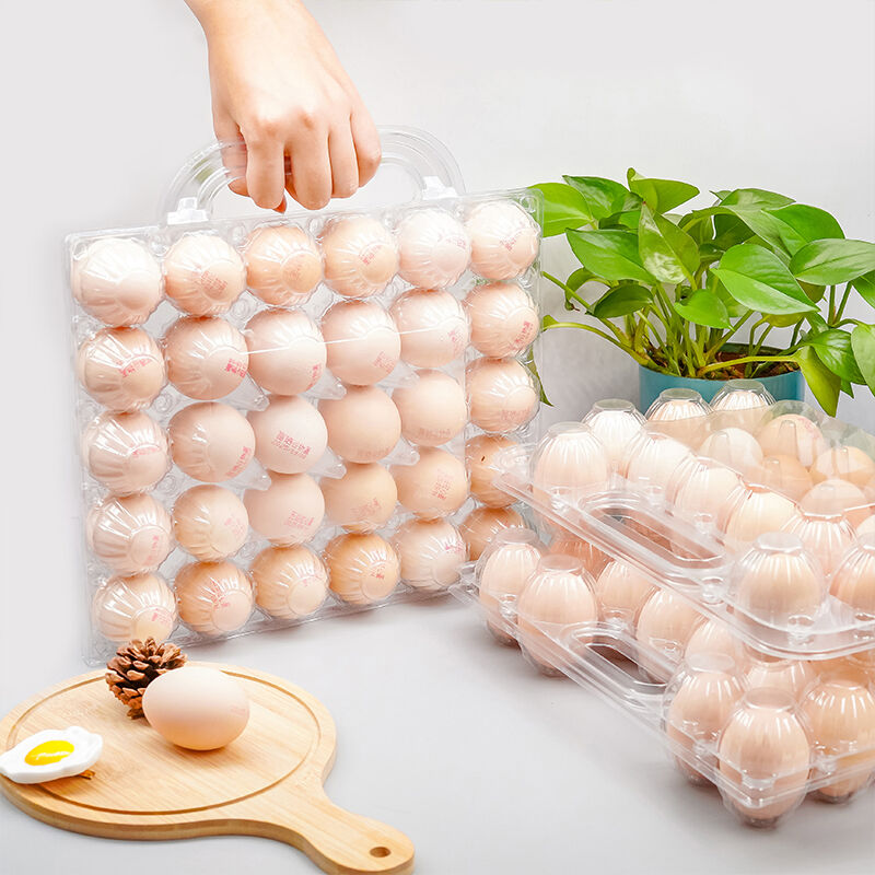 Perlindungan Telur Unggul dan Fitur Keamanan
