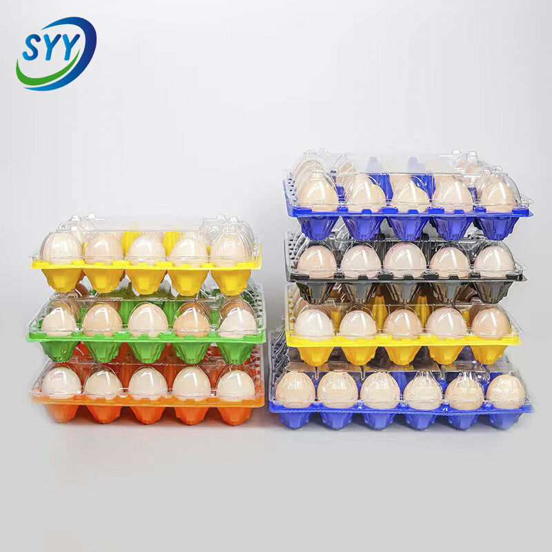 30-Loch Blister Pet farbige geteilte Eierschale für den Supermarkt
