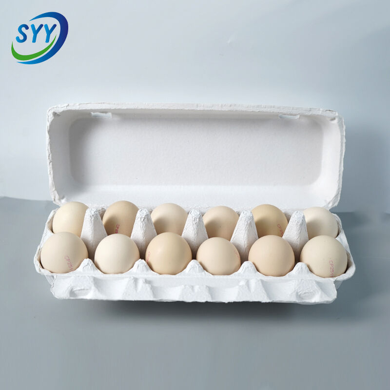 계란 포장 제조업체 선정 시 고려해야 할 사항: 품질, 비용 및 맞춤화 가이드