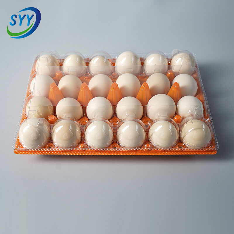 Superior Protection Technology with Advanced Compartment Design