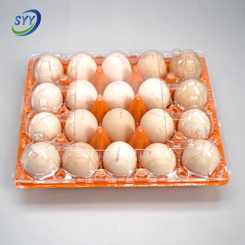 20-Loch Blister Pet farbige geteilte Eierschale für den Supermarkt