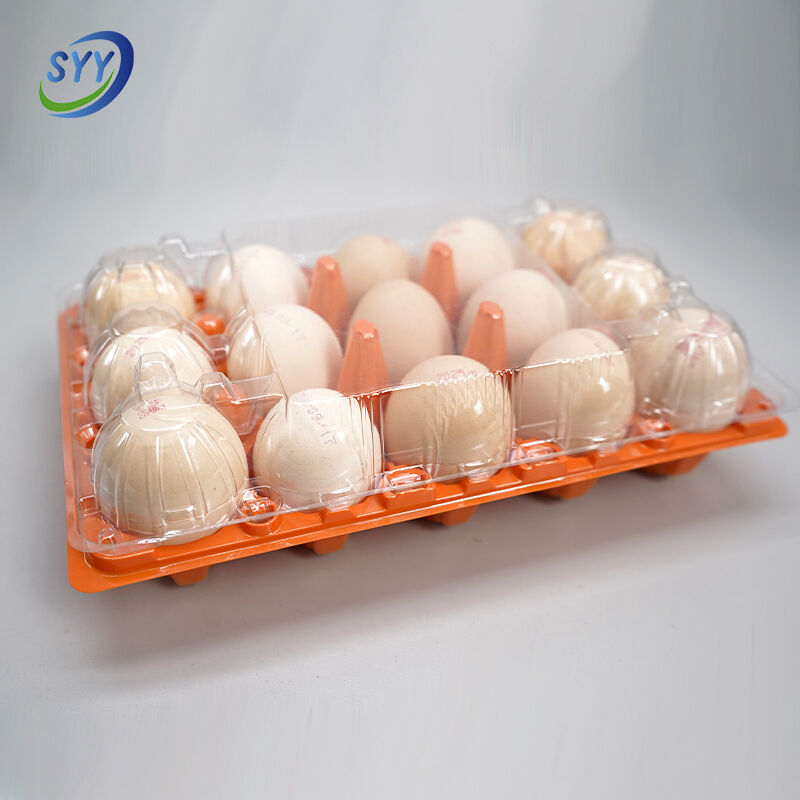 15-Loch Blister Pet farbige geteilte Eierschale für den Supermarkt