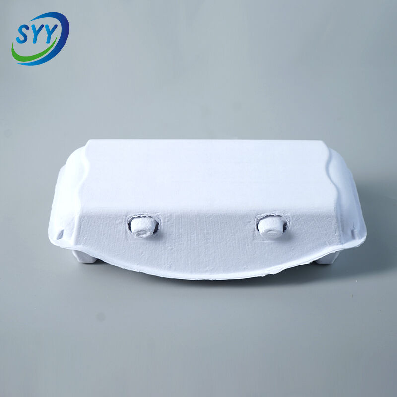 10-Loch umweltfreundlicher Eierkarton aus geformtem Zellstoff