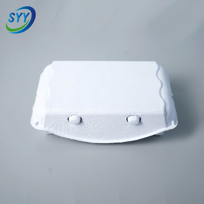 15-Loch biologisch abbaubarer Eierbehälter aus Papierzellstoff | umweltfreundliche Großverpackung