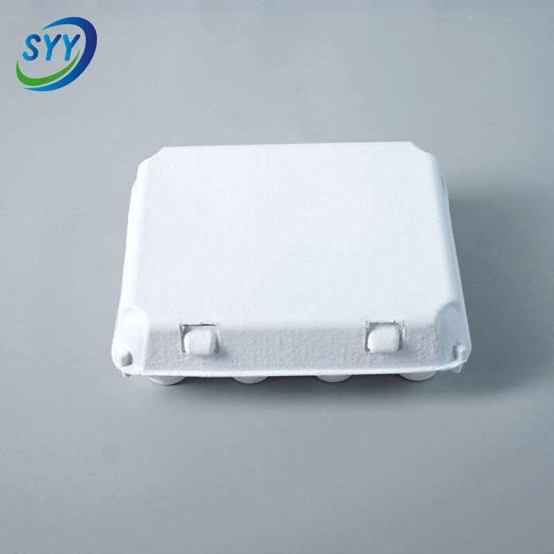 12-Loch umweltfreundlicher Eierkarton aus geformtem Zellstoff