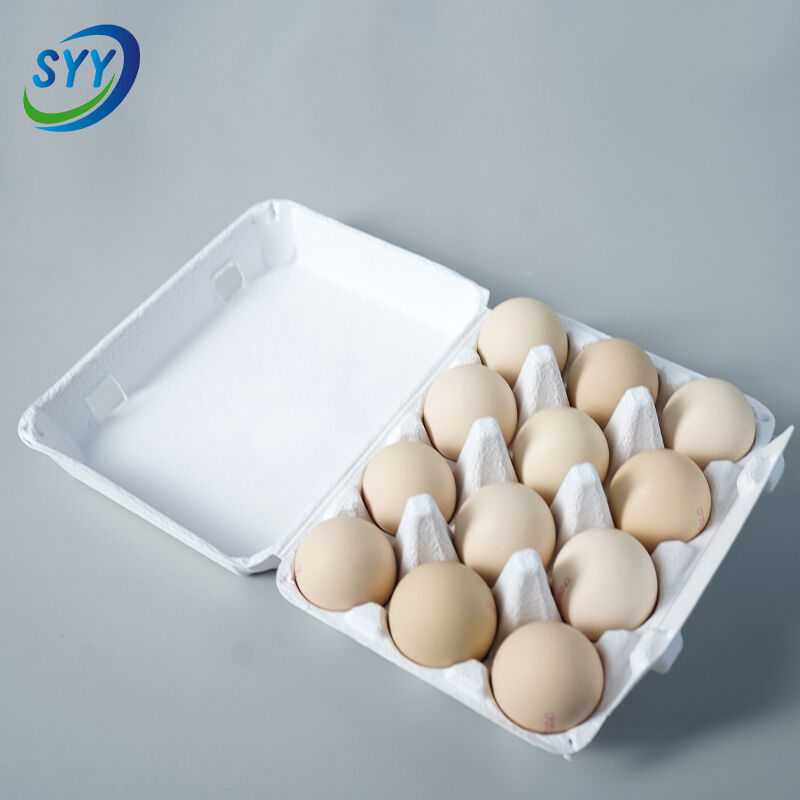 Revolutionary Biodegradable Design for Ultimate Environmental Protection