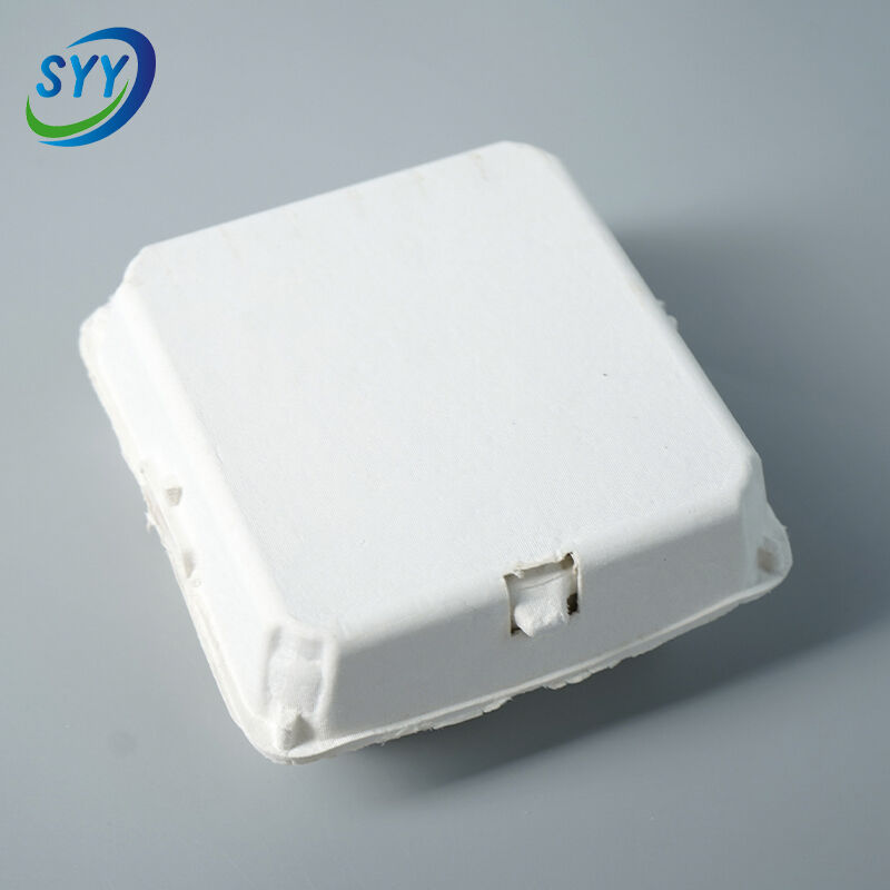 9-Loch umweltfreundlicher Eierkarton aus geformtem Zellstoff