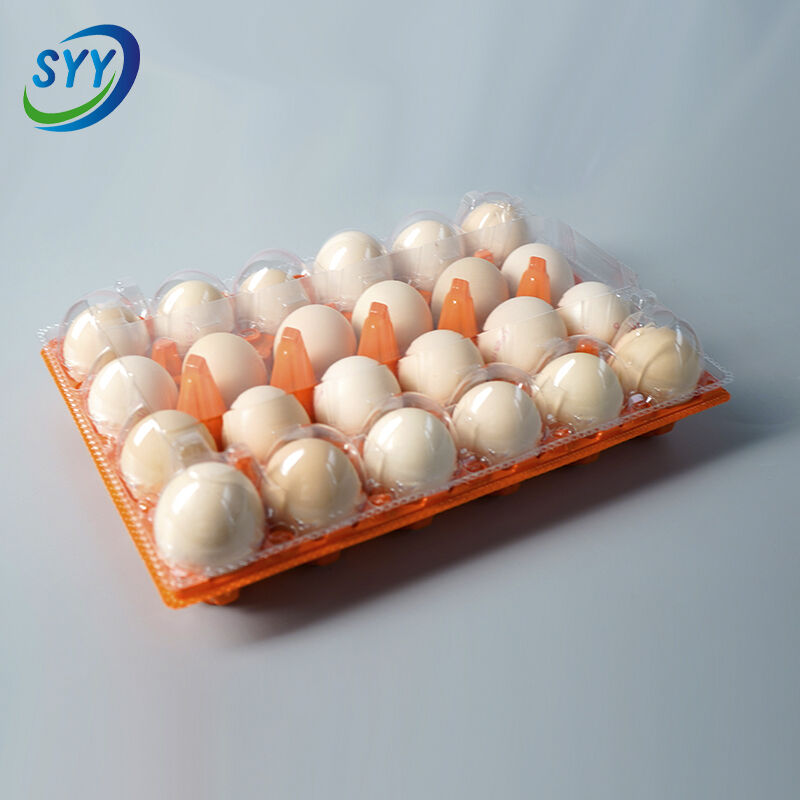 Enhanced Food Safety Standards with Easy-Clean Hygienic Materials