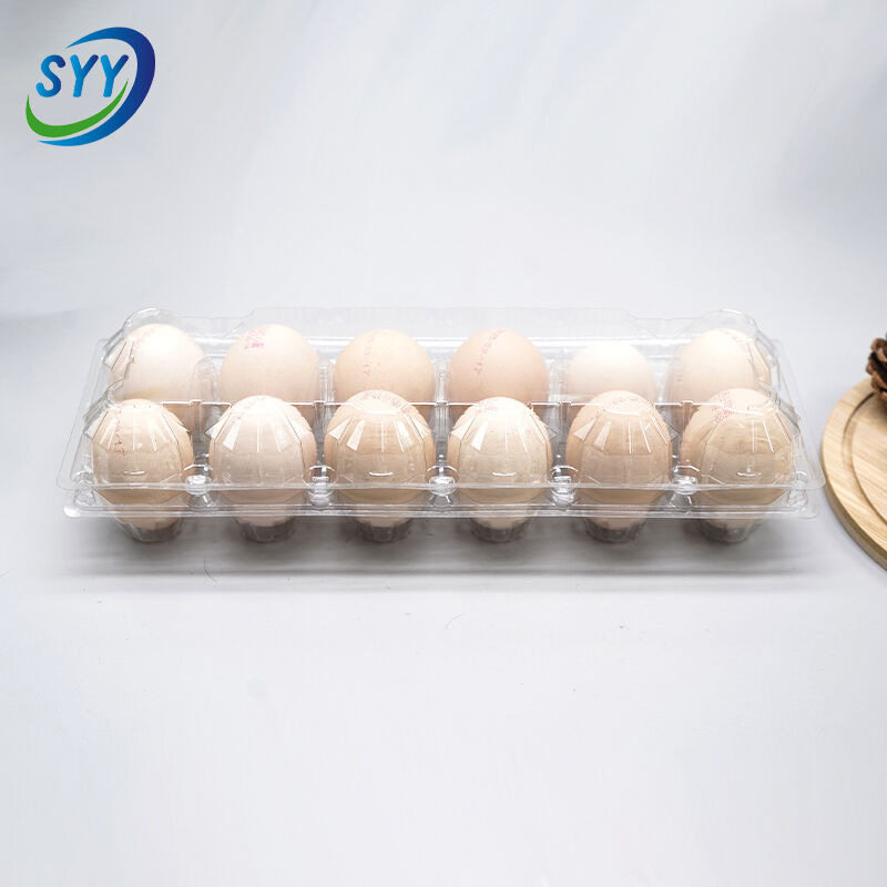 egg tray supplier