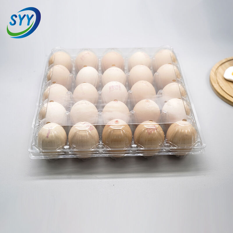 25-Loch-PET-Muscheltablett für Eier aus Farm und Supermarkt