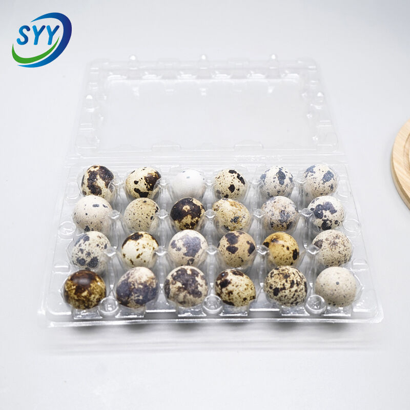 24-Loch Kunststoff-Wachtel-Eierschale für Bauernhof und Supermarkt