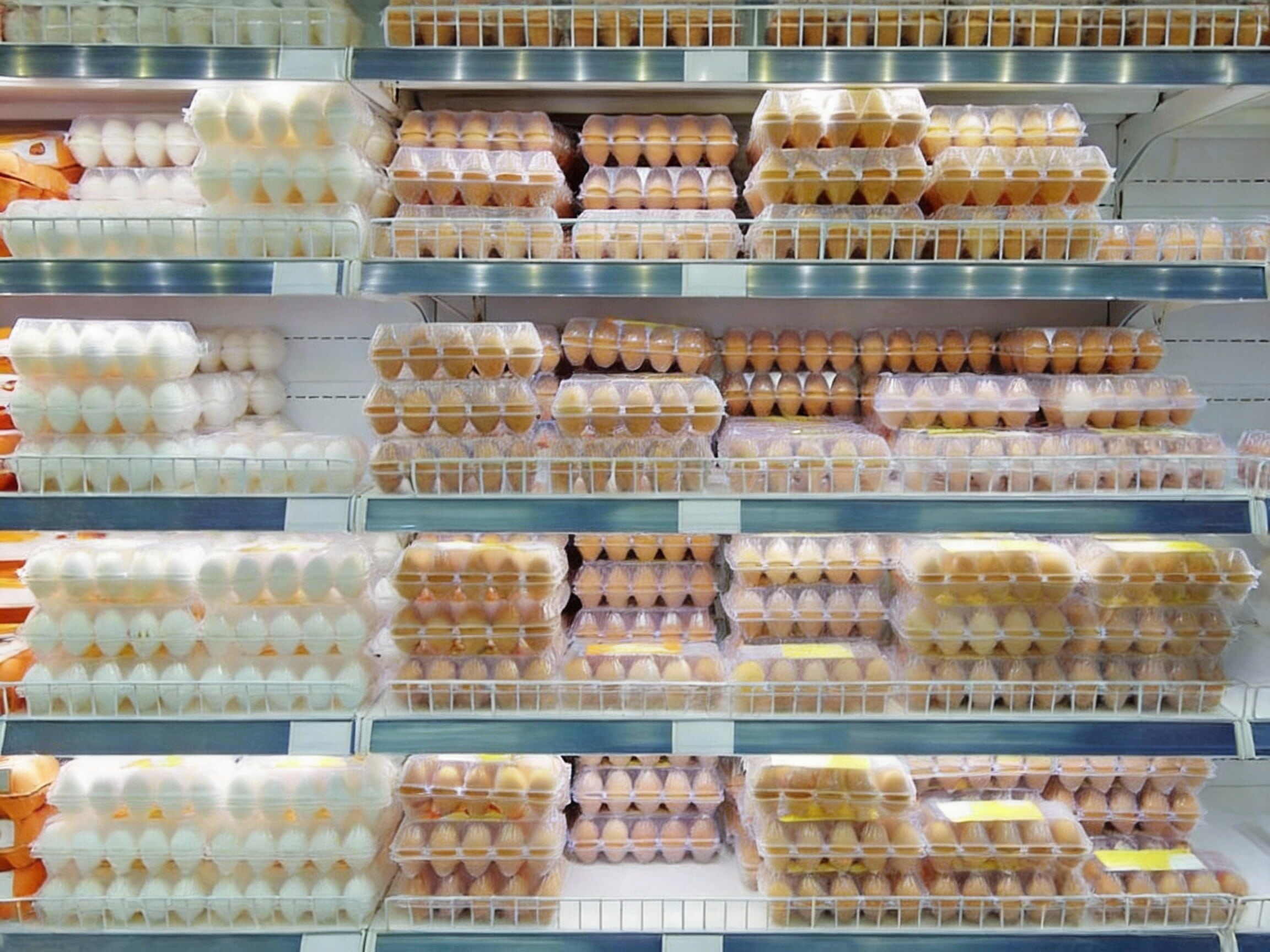 For Supermarkets & Retail