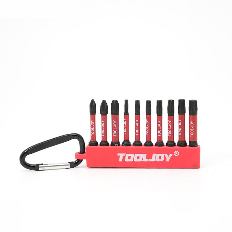 Tooljoy Portable Multi-Piece Screwdriver Bit Set - Carabiner Impact Driver Bit Set