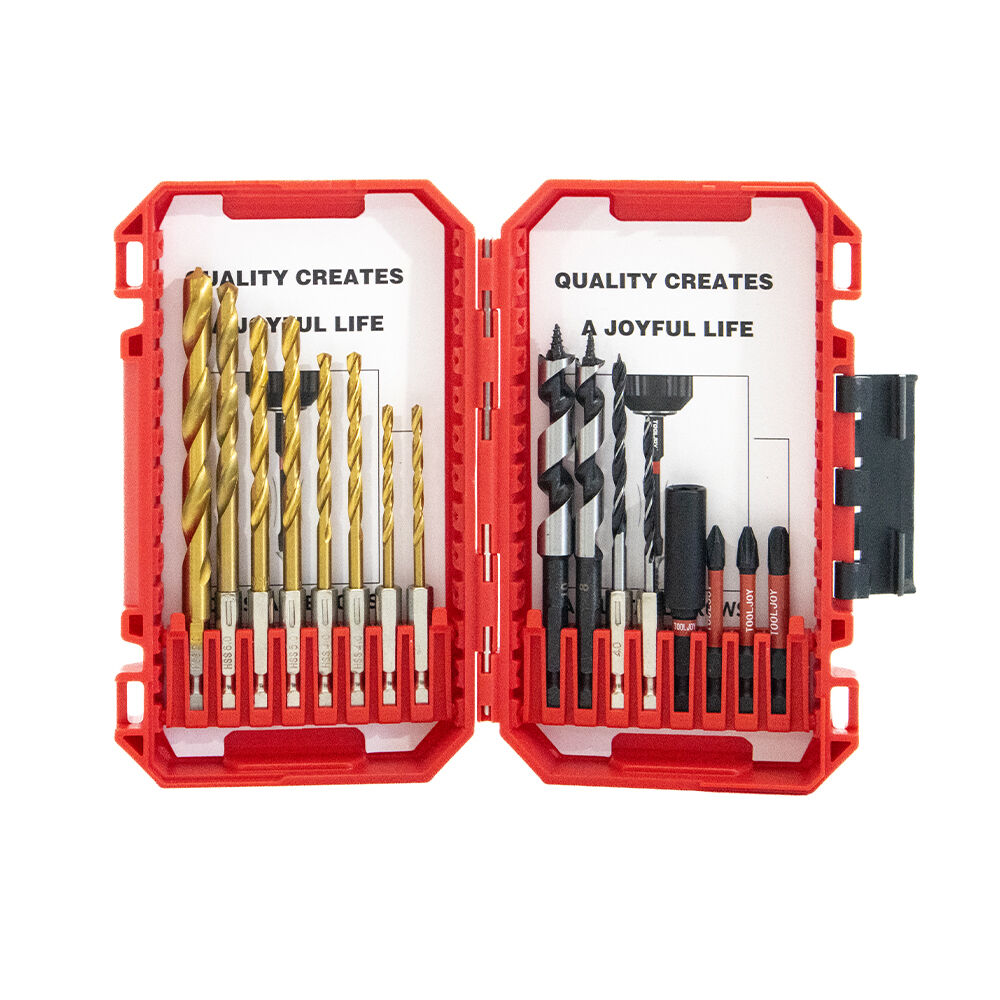 Tooljoy 16pcs Drill & Driver Bit Set, HSS Titanium Twist Drill Bits Wood Spade Bits Multi-Purpose Drill Bit Kit with Storage Case