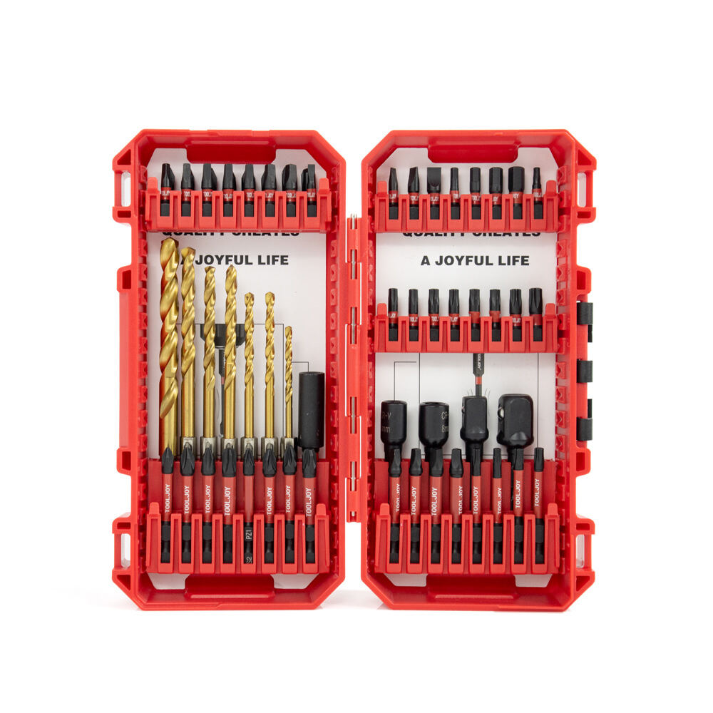 TOOLJOY Impact Bit Set 60PCS S2 Steel Screwdriver Bits for Drill and Impact Driver