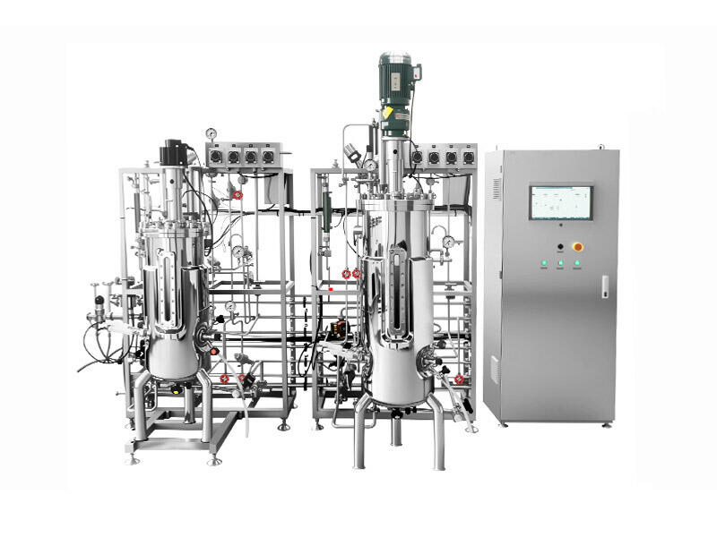 Dual-Tank Stainless Steel Fermenter