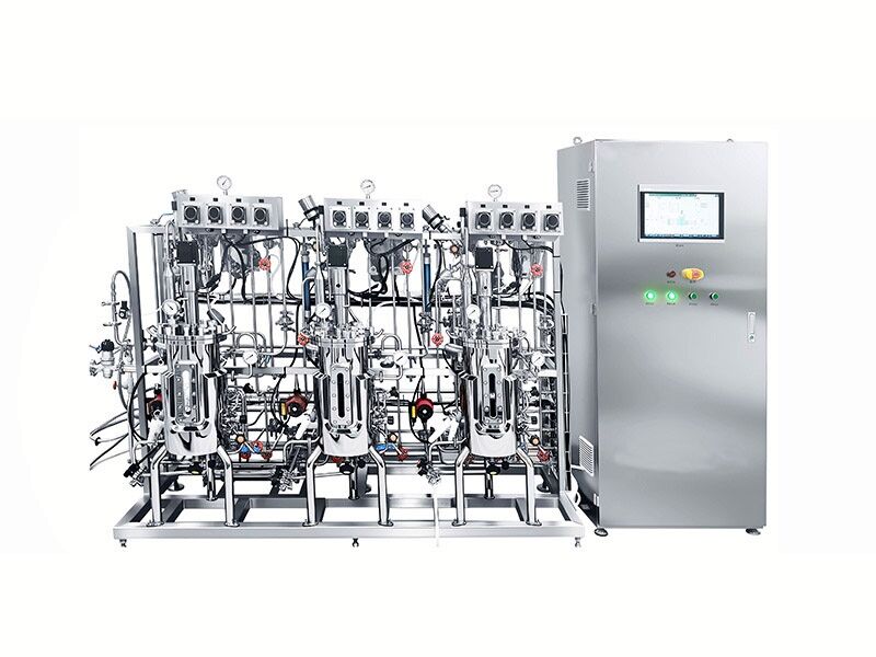 Parallel Stainless Steel Fermenter