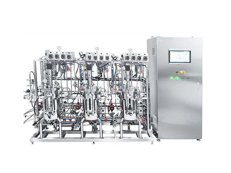 Parallel Stainless Steel Fermentor