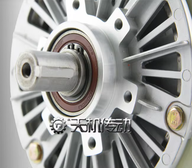 Tianji Magnetic Powder Clutch Brake Double Shaft Precision Torque Control OEM details