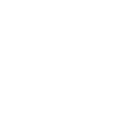 Diversified customization services