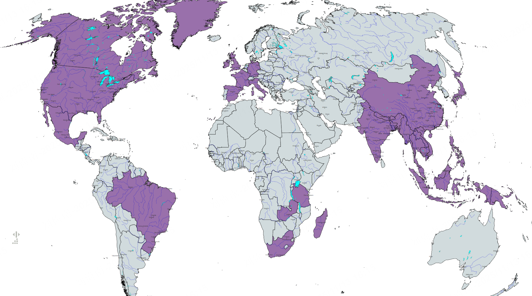 A professional solution provider for the global hair care market