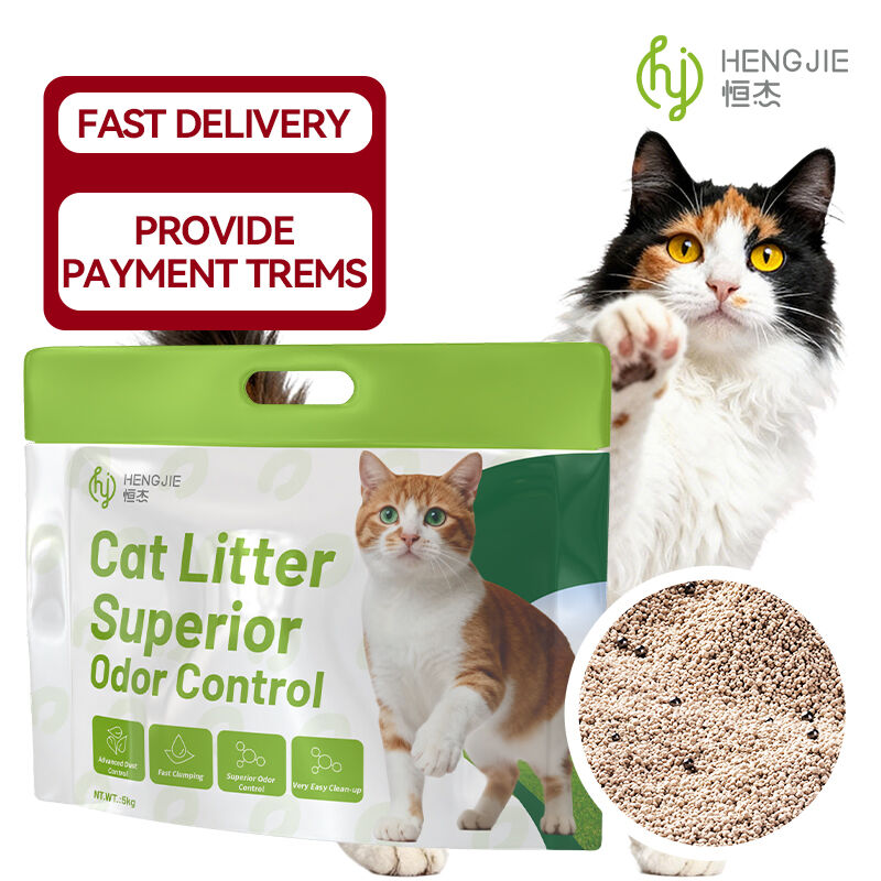 Environmental Sustainability and Innovation Leadership