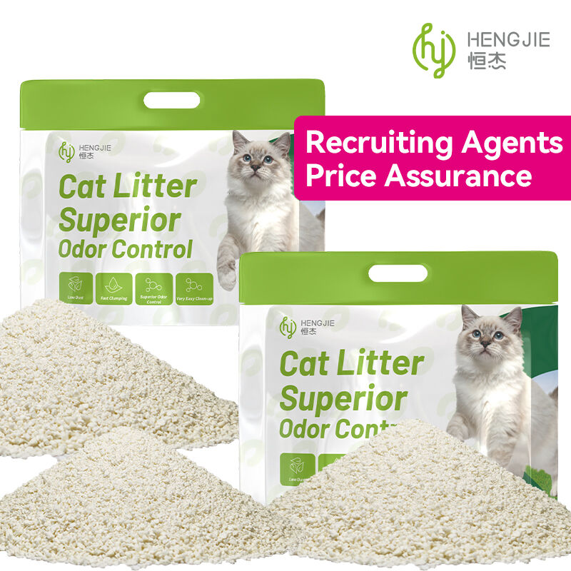 How Mixed Cat Litter Combines Absorption and Odor Control