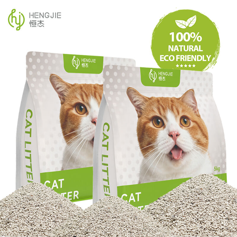 Best Practices for Multi-Cat Homes Using Mixed Cat Litter