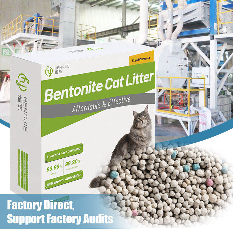 How to Choose a Reliable Bentonite Cat Litter Supplier in 2026 (Complete Buyer Guide)